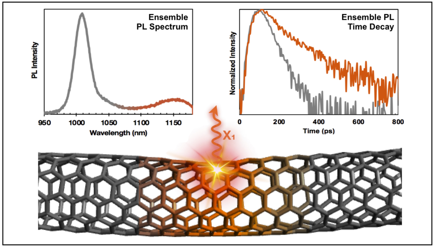 Single-Walled Carbon Nanotube Dark Exciton Photoluminescence Dynamics