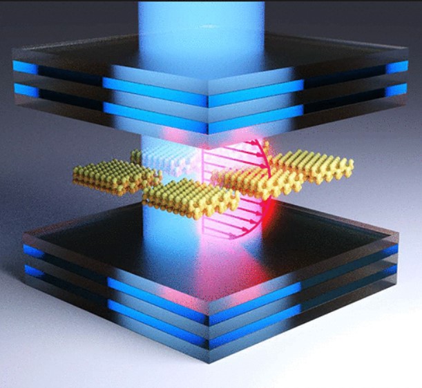 Molecular Polaritons Generated from Strong Coupling between CdSe Nanoplatelets and a Dielectric Optical Cavity