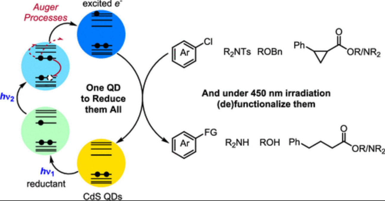 CdS Quantum Dots as Potent Photoreductants for Organic Chemistry Enabled by Auger Processes