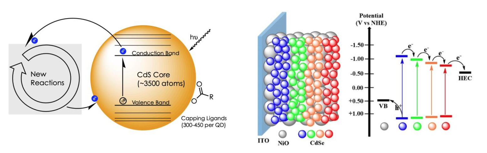 <b>(Left)</b> General scheme detailing the use of colloidal QDs as photo-redox catalysts in organic reactions. <b>(Right)</b> A rainbow photocathode (PNAS, 2017, 114, 43, 11297-11302) as well as the corresponding energy levels of different-sized CdSe QDs and the possible electron transfer process between them.