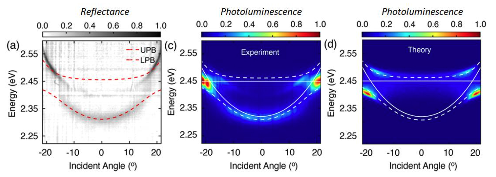 Angle-resolved white light reflectance and photoluminescence measurements of the NPL-cavity hybrid system along with theoretical simulation.Data acquired at T = 8 K.
