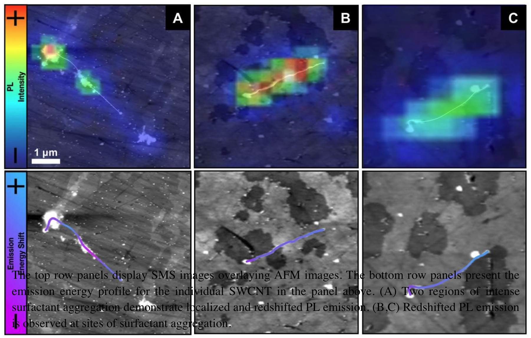The top row panels display  SMS images  overlaying AFM images. The bottom row panels present the emission energy profile for the individual SWCNT in the panel above. (A) Two regions of intense surfactant aggregation demonstrate localized and redshifted PL emission. (B,C) Redshifted PL emission is observed at sites of surfactant aggregation.