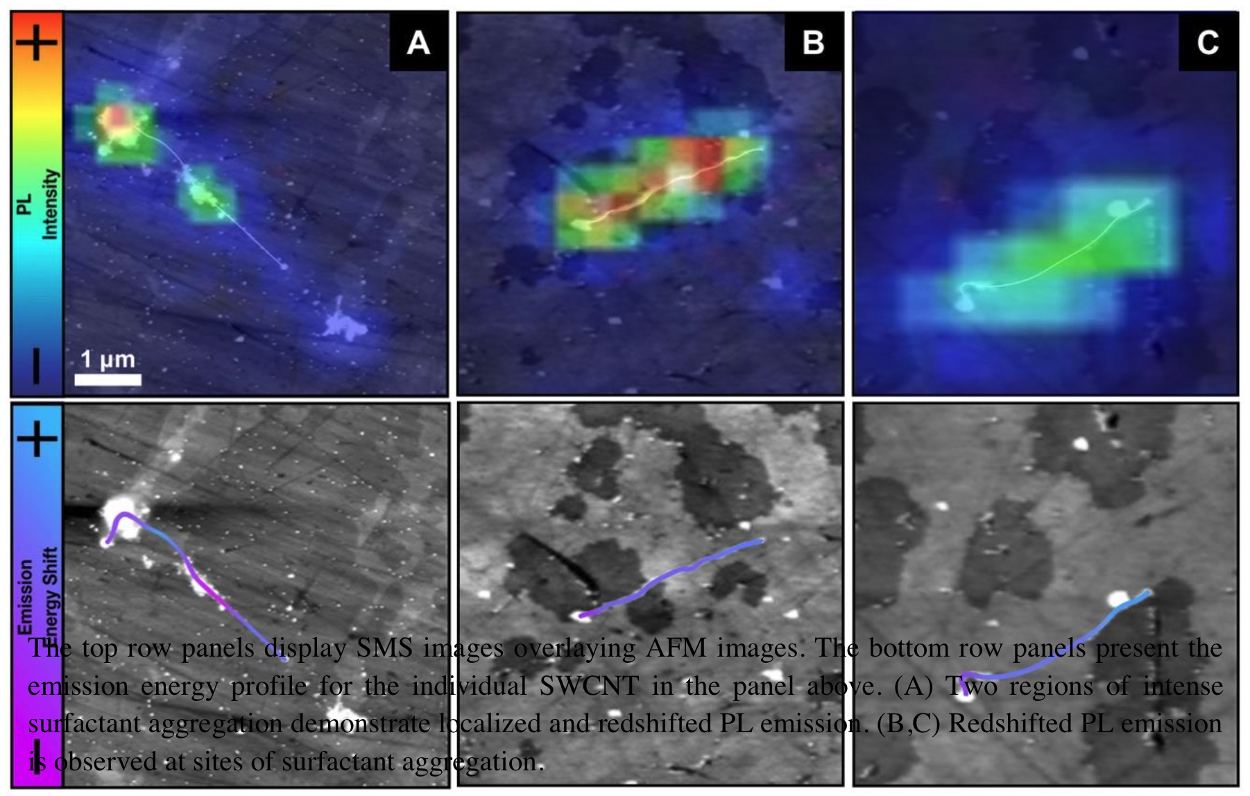 The top row panels display SMS images overlaying AFM images. The bottom row panels present the emission energy profile for the individual SWCNT in the panel above. (A) Two regions of intense surfactant aggregation demonstrate localized and redshifted PL emission. (B,C) Redshifted PL emission is observed at sites of surfactant aggregation.